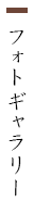 フォトギャラリー