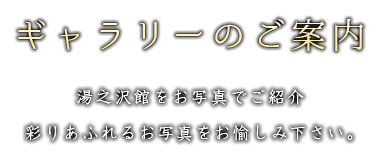 ギャラリーのご案内